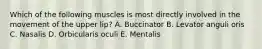 Which of the following muscles is most directly involved in the movement of the upper lip? A. Buccinator B. Levator anguli oris C. Nasalis D. Orbicularis oculi E. Mentalis