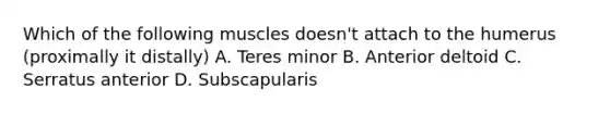 Which of the following muscles doesn't attach to the humerus (proximally it distally) A. Teres minor B. Anterior deltoid C. Serratus anterior D. Subscapularis