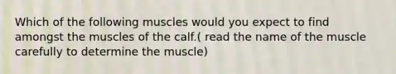 Which of the following muscles would you expect to find amongst the muscles of the calf.( read the name of the muscle carefully to determine the muscle)