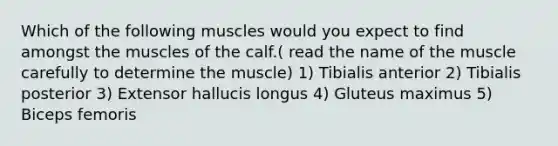 Which of the following muscles would you expect to find amongst the muscles of the calf.( read the name of the muscle carefully to determine the muscle) 1) Tibialis anterior 2) Tibialis posterior 3) Extensor hallucis longus 4) Gluteus maximus 5) Biceps femoris