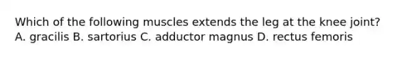 Which of the following muscles extends the leg at the knee joint? A. gracilis B. sartorius C. adductor magnus D. rectus femoris