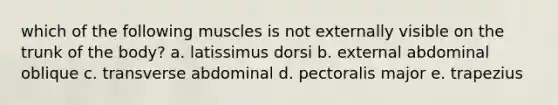 which of the following muscles is not externally visible on the trunk of the body? a. latissimus dorsi b. external abdominal oblique c. transverse abdominal d. pectoralis major e. trapezius