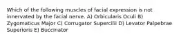 Which of the following muscles of facial expression is not innervated by the facial nerve. A) Orbicularis Oculi B) Zygomaticus Major C) Corrugator Supercilii D) Levator Palpebrae Superioris E) Buccinator