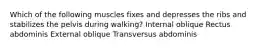 Which of the following muscles fixes and depresses the ribs and stabilizes the pelvis during walking? Internal oblique Rectus abdominis External oblique Transversus abdominis