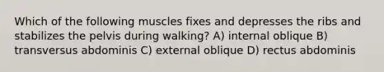 Which of the following muscles fixes and depresses the ribs and stabilizes the pelvis during walking? A) internal oblique B) transversus abdominis C) external oblique D) rectus abdominis