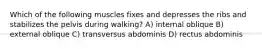 Which of the following muscles fixes and depresses the ribs and stabilizes the pelvis during walking? A) internal oblique B) external oblique C) transversus abdominis D) rectus abdominis