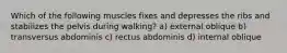 Which of the following muscles fixes and depresses the ribs and stabilizes the pelvis during walking? a) external oblique b) transversus abdominis c) rectus abdominis d) internal oblique