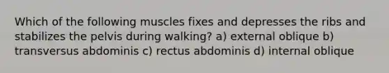 Which of the following muscles fixes and depresses the ribs and stabilizes the pelvis during walking? a) external oblique b) transversus abdominis c) rectus abdominis d) internal oblique