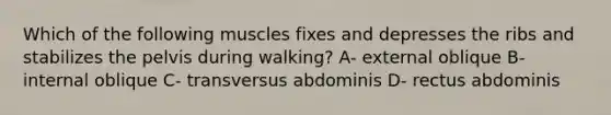 Which of the following muscles fixes and depresses the ribs and stabilizes the pelvis during walking? A- external oblique B- internal oblique C- transversus abdominis D- rectus abdominis