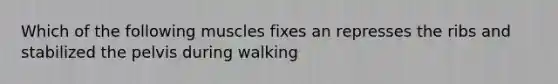 Which of the following muscles fixes an represses the ribs and stabilized the pelvis during walking