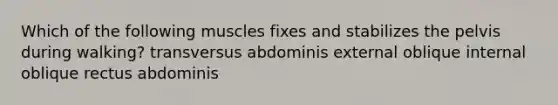 Which of the following muscles fixes and stabilizes the pelvis during walking? transversus abdominis external oblique internal oblique rectus abdominis