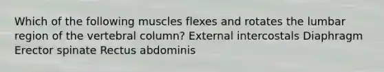 Which of the following muscles flexes and rotates the lumbar region of the <a href='https://www.questionai.com/knowledge/ki4fsP39zf-vertebral-column' class='anchor-knowledge'>vertebral column</a>? External intercostals Diaphragm Erector spinate Rectus abdominis