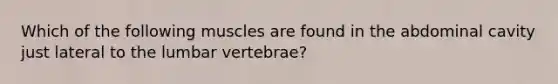 Which of the following muscles are found in the abdominal cavity just lateral to the lumbar vertebrae?