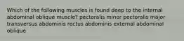 Which of the following muscles is found deep to the internal abdominal oblique muscle? pectoralis minor pectoralis major transversus abdominis rectus abdominis external abdominal oblique