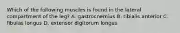 Which of the following muscles is found in the lateral compartment of the leg? A. gastrocnemius B. tibialis anterior C. fibulas longus D. extensor digitorum longus