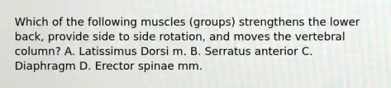 Which of the following muscles (groups) strengthens the lower back, provide side to side rotation, and moves the <a href='https://www.questionai.com/knowledge/ki4fsP39zf-vertebral-column' class='anchor-knowledge'>vertebral column</a>? A. Latissimus Dorsi m. B. Serratus anterior C. Diaphragm D. Erector spinae mm.