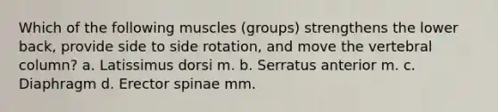 Which of the following muscles (groups) strengthens the lower back, provide side to side rotation, and move the vertebral column? a. Latissimus dorsi m. b. Serratus anterior m. c. Diaphragm d. Erector spinae mm.