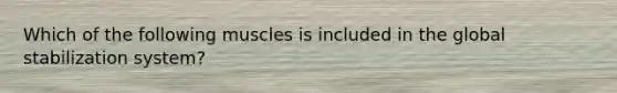 Which of the following muscles is included in the global stabilization system?
