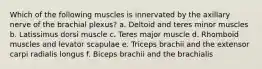 Which of the following muscles is innervated by the axillary nerve of the brachial plexus? a. Deltoid and teres minor muscles b. Latissimus dorsi muscle c. Teres major muscle d. Rhomboid muscles and levator scapulae e. Triceps brachii and the extensor carpi radialis longus f. Biceps brachii and the brachialis