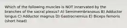 Which of the following muscles is NOT innervated by the branches of the sacral plexus? A) Semimembranosus B) Adductor longus C) Adductor magnus D) Gastrocnemius E) Biceps femoris (short head)