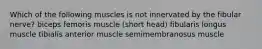 Which of the following muscles is not innervated by the fibular nerve? biceps femoris muscle (short head) fibularis longus muscle tibialis anterior muscle semimembranosus muscle