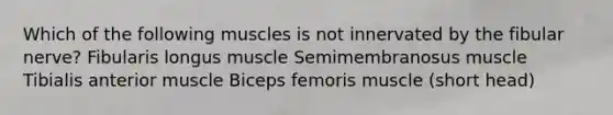 Which of the following muscles is not innervated by the fibular nerve? Fibularis longus muscle Semimembranosus muscle Tibialis anterior muscle Biceps femoris muscle (short head)