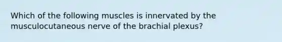 Which of the following muscles is innervated by the musculocutaneous nerve of the brachial plexus?