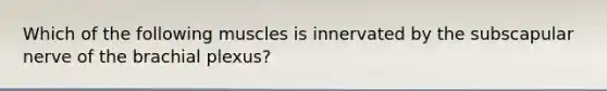 Which of the following muscles is innervated by the subscapular nerve of the brachial plexus?