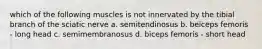 which of the following muscles is not innervated by the tibial branch of the sciatic nerve a. semitendinosus b. beiceps femoris - long head c. semimembranosus d. biceps femoris - short head