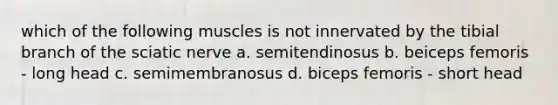 which of the following muscles is not innervated by the tibial branch of the sciatic nerve a. semitendinosus b. beiceps femoris - long head c. semimembranosus d. biceps femoris - short head