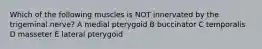 Which of the following muscles is NOT innervated by the trigeminal nerve? A medial pterygoid B buccinator C temporalis D masseter E lateral pterygoid