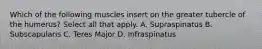 Which of the following muscles insert on the greater tubercle of the humerus? Select all that apply. A. Supraspinatus B. Subscapularis C. Teres Major D. Infraspinatus