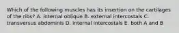 Which of the following muscles has its insertion on the cartilages of the ribs? A. internal oblique B. external intercostals C. transversus abdominis D. internal intercostals E. both A and B