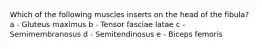 Which of the following muscles inserts on the head of the fibula? a - Gluteus maximus b - Tensor fasciae latae c - Semimembranosus d - Semitendinosus e - Biceps femoris