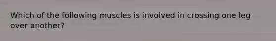 Which of the following muscles is involved in crossing one leg over another?