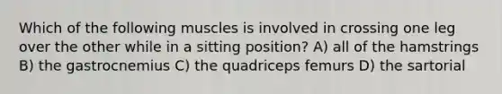 Which of the following muscles is involved in crossing one leg over the other while in a sitting position? A) all of the hamstrings B) the gastrocnemius C) the quadriceps femurs D) the sartorial