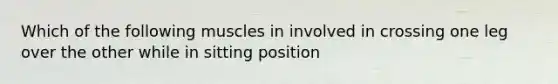 Which of the following muscles in involved in crossing one leg over the other while in sitting position