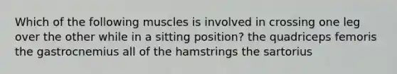 Which of the following muscles is involved in crossing one leg over the other while in a sitting position? the quadriceps femoris the gastrocnemius all of the hamstrings the sartorius