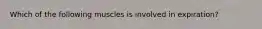 Which of the following muscles is involved in expiration?