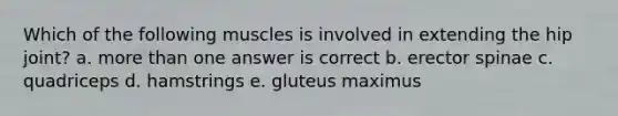 Which of the following muscles is involved in extending the hip joint? a. more than one answer is correct b. erector spinae c. quadriceps d. hamstrings e. gluteus maximus