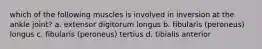 which of the following muscles is involved in inversion at the ankle joint? a. extensor digitorum longus b. fibularis (peroneus) longus c. fibularis (peroneus) tertius d. tibialis anterior