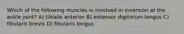 Which of the following muscles is involved in inversion at the ankle joint? A) tibialis anterior B) extensor digitorum longus C) fibularis brevis D) fibularis longus