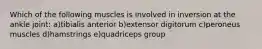 Which of the following muscles is involved in inversion at the ankle joint: a)tibialis anterior b)extensor digitorum c)peroneus muscles d)hamstrings e)quadriceps group