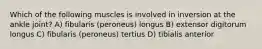 Which of the following muscles is involved in inversion at the ankle joint? A) fibularis (peroneus) longus B) extensor digitorum longus C) fibularis (peroneus) tertius D) tibialis anterior