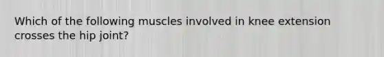 Which of the following muscles involved in knee extension crosses the hip joint?