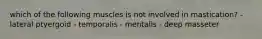 which of the following muscles is not involved in mastication? - lateral ptyergoid - temporalis - mentalis - deep masseter