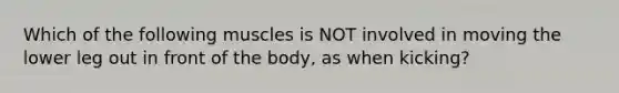 Which of the following muscles is NOT involved in moving the lower leg out in front of the body, as when kicking?