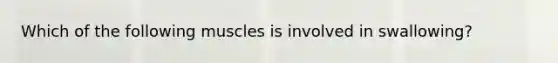 Which of the following muscles is involved in swallowing?