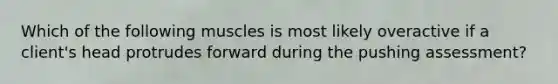 Which of the following muscles is most likely overactive if a client's head protrudes forward during the pushing assessment?