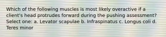 Which of the following muscles is most likely overactive if a client's head protrudes forward during the pushing assessment? Select one: a. Levator scapulae b. Infraspinatus c. Longus coli d. Teres minor